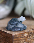 Moss agate frog 8