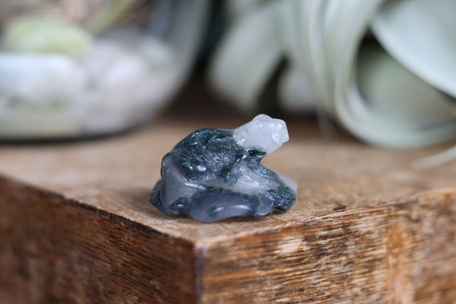 Moss agate frog 8