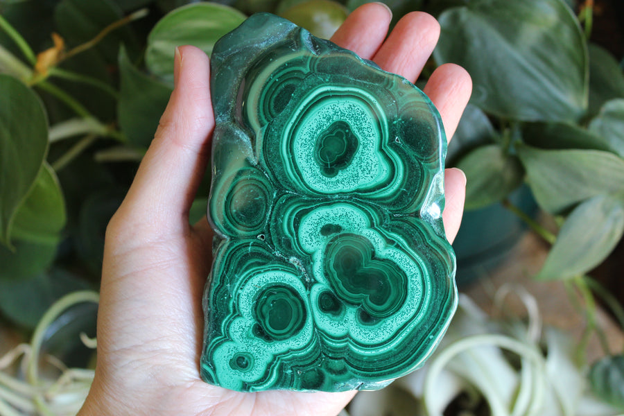 Semi polished malachite slab 15