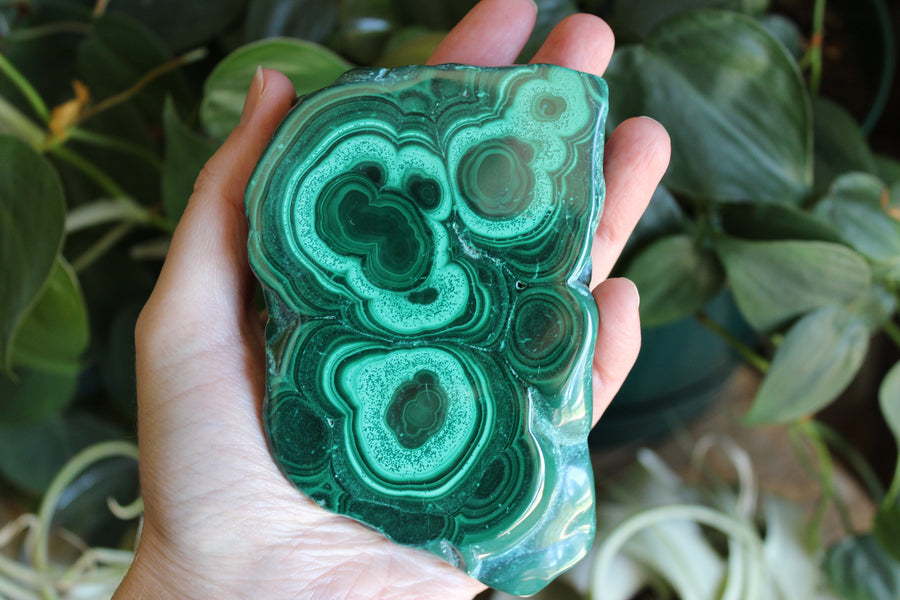 Semi polished malachite slab 15