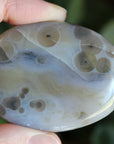 8th vein ocean jasper pocket stone 12