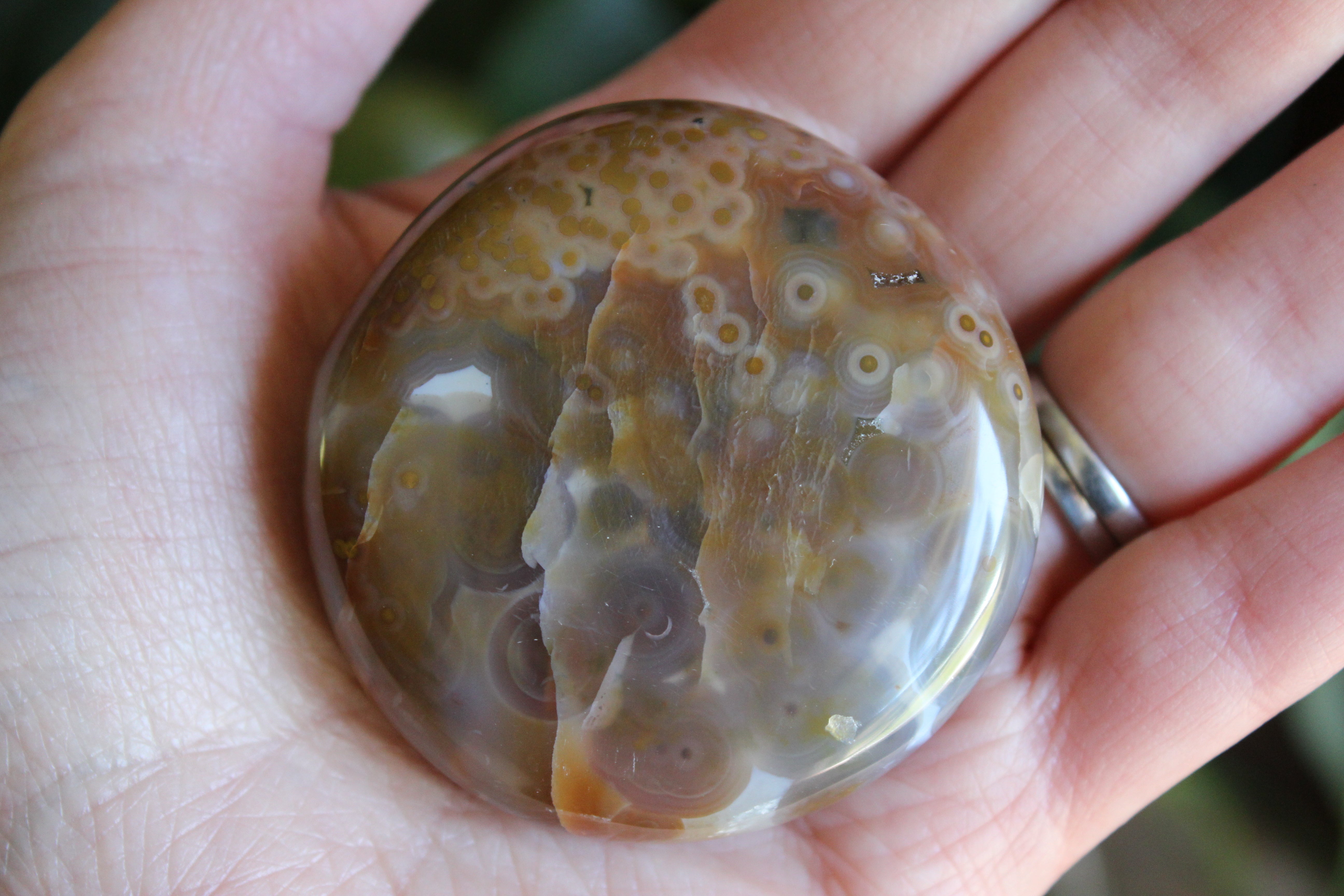 8th vein ocean jasper pocket stone 14