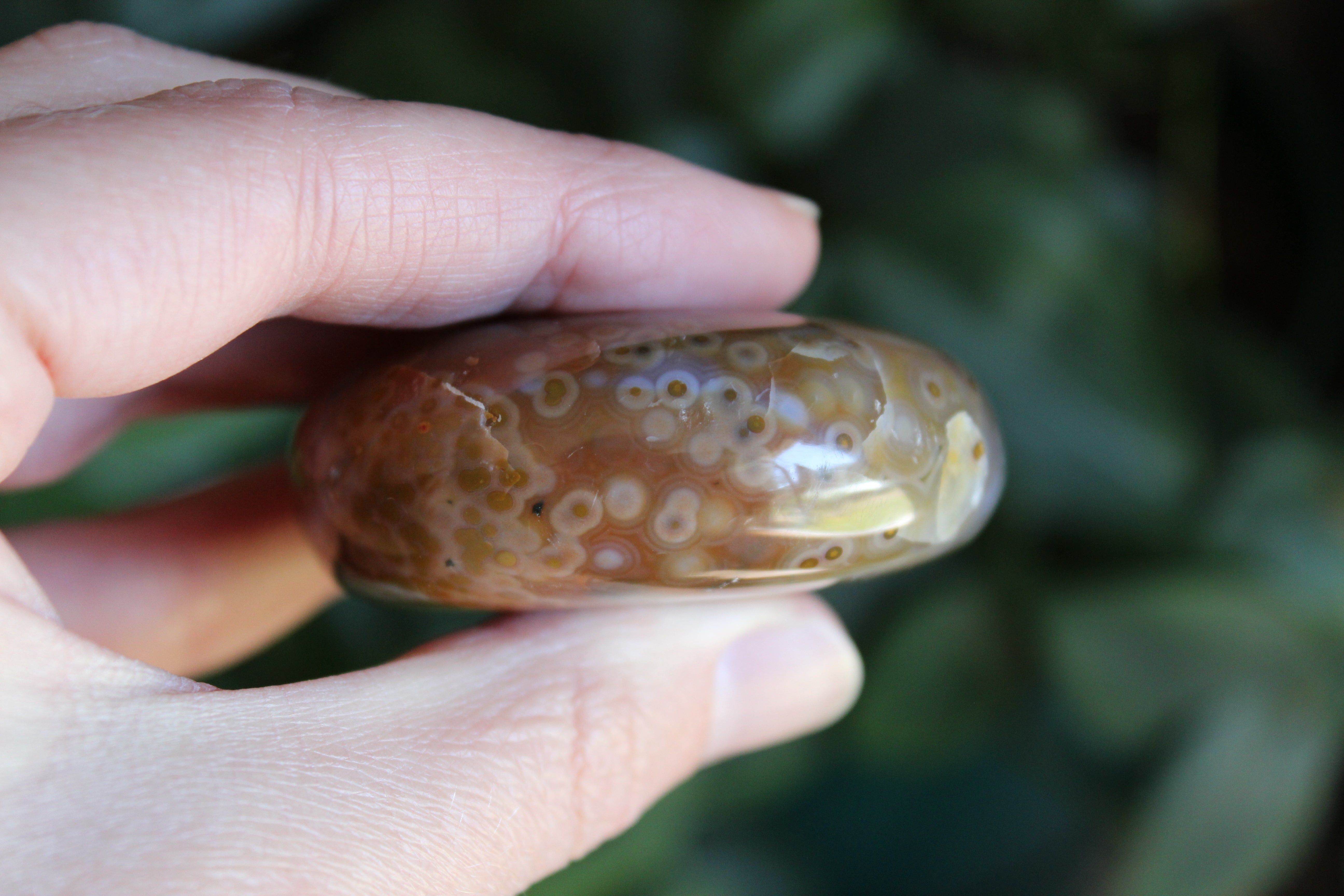 8th vein ocean jasper pocket stone 14