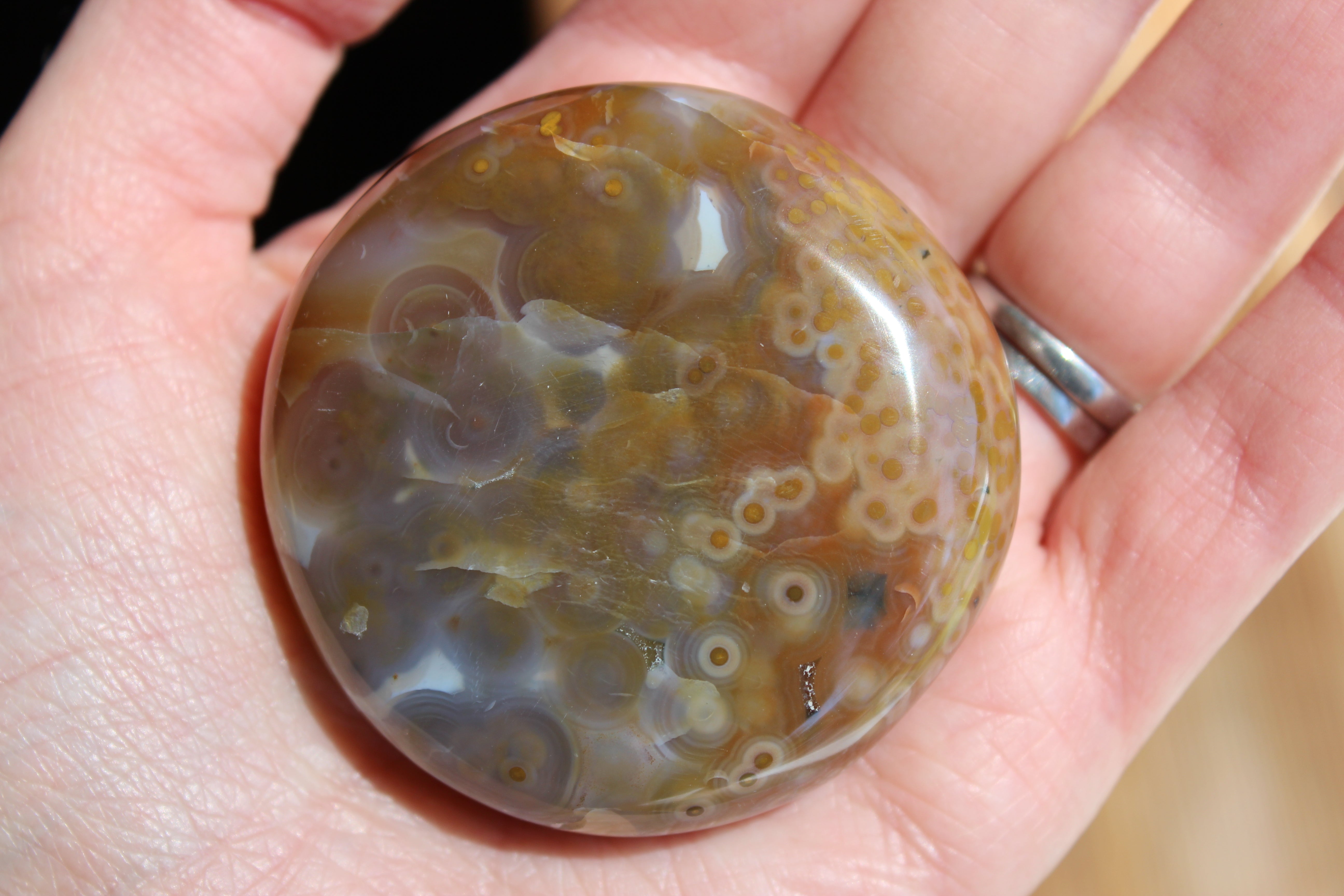8th vein ocean jasper pocket stone 14