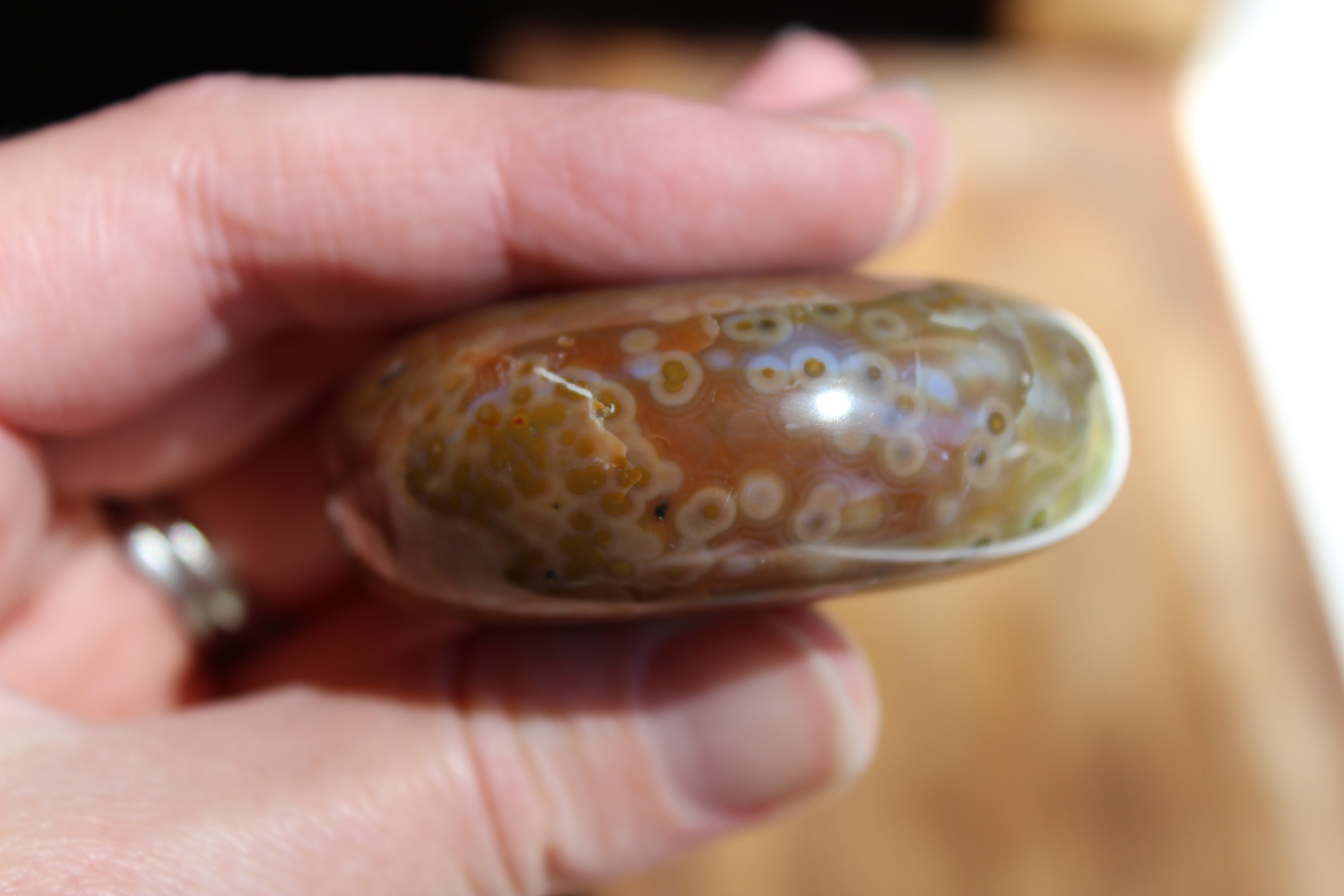 8th vein ocean jasper pocket stone 14