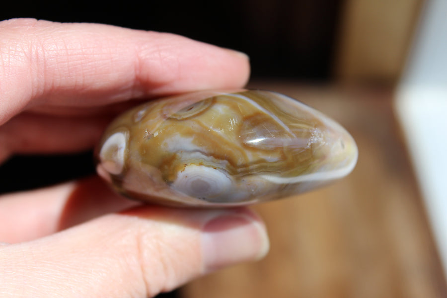 8th vein ocean jasper pocket stone 15