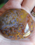 8th vein ocean jasper pocket stone 16