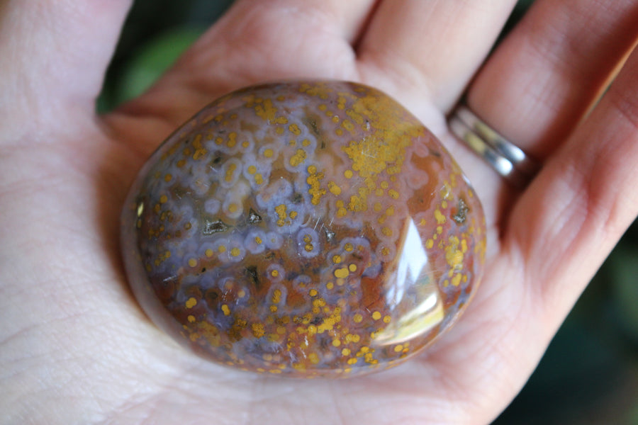 8th vein ocean jasper pocket stone 16