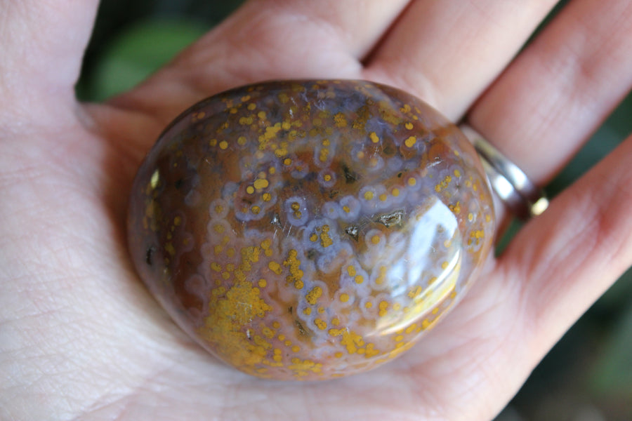 8th vein ocean jasper pocket stone 16