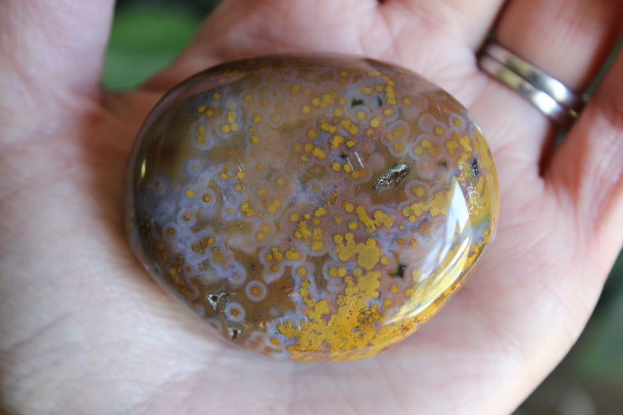 8th vein ocean jasper pocket stone 16