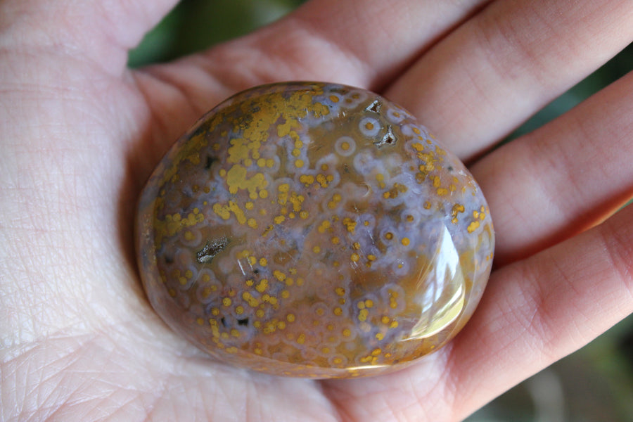 8th vein ocean jasper pocket stone 16