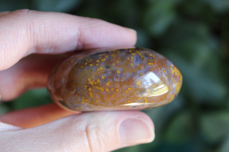 8th vein ocean jasper pocket stone 16