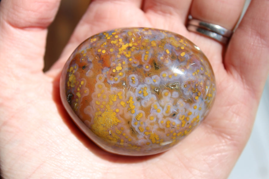 8th vein ocean jasper pocket stone 16