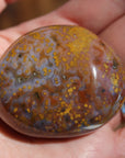 8th vein ocean jasper pocket stone 16