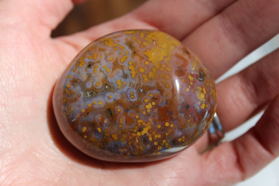 8th vein ocean jasper pocket stone 16