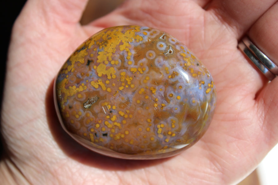 8th vein ocean jasper pocket stone 16