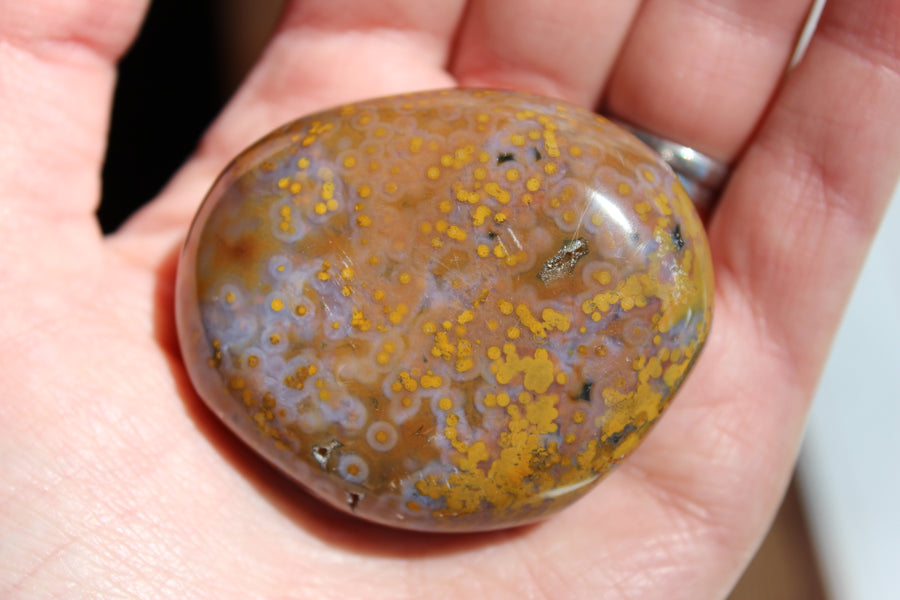 8th vein ocean jasper pocket stone 16