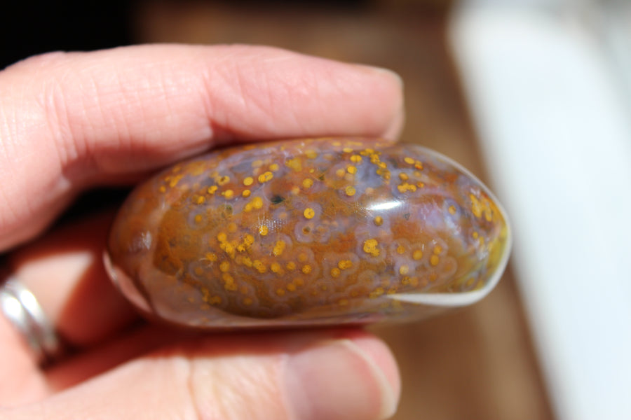 8th vein ocean jasper pocket stone 16