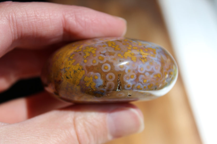 8th vein ocean jasper pocket stone 16