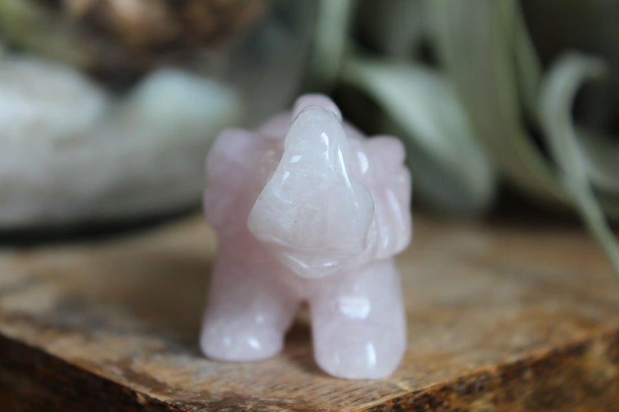 Rose quartz elephant 2