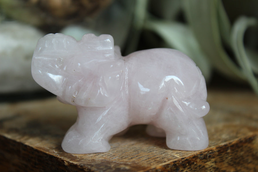 Rose quartz elephant 2