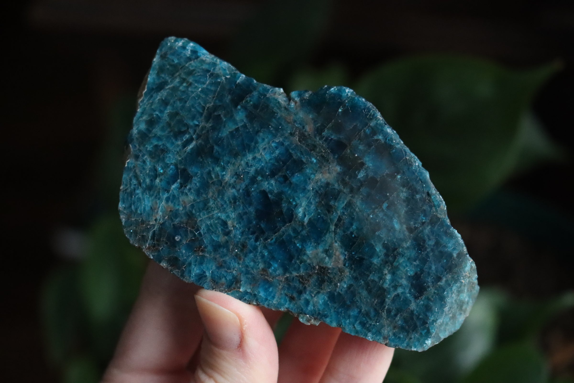 Semi polished blue apatite slab 1
