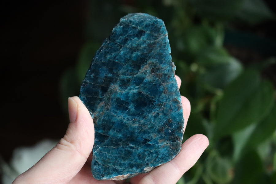 Semi polished blue apatite slab 1