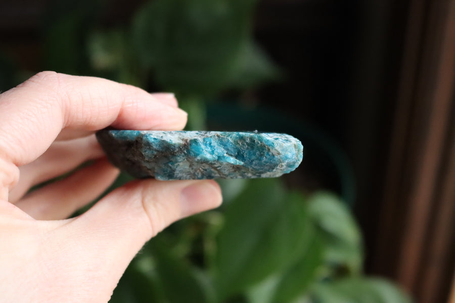 Semi polished blue apatite slab 3