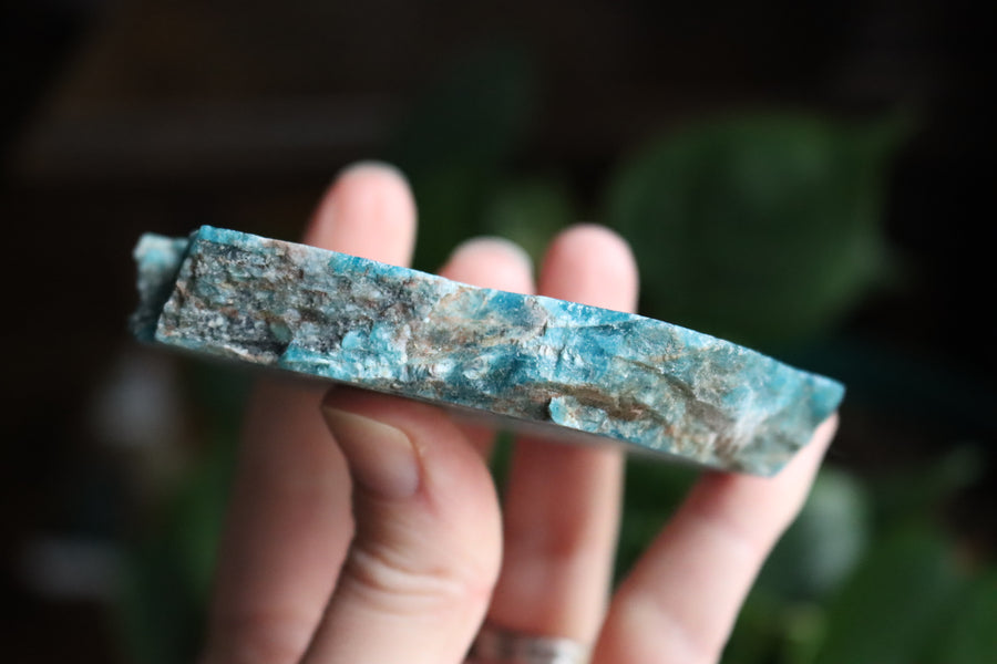 Semi polished blue apatite slab 4