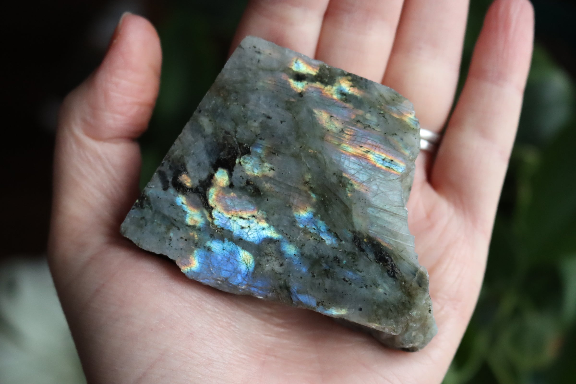 Semi polished labradorite slab 1
