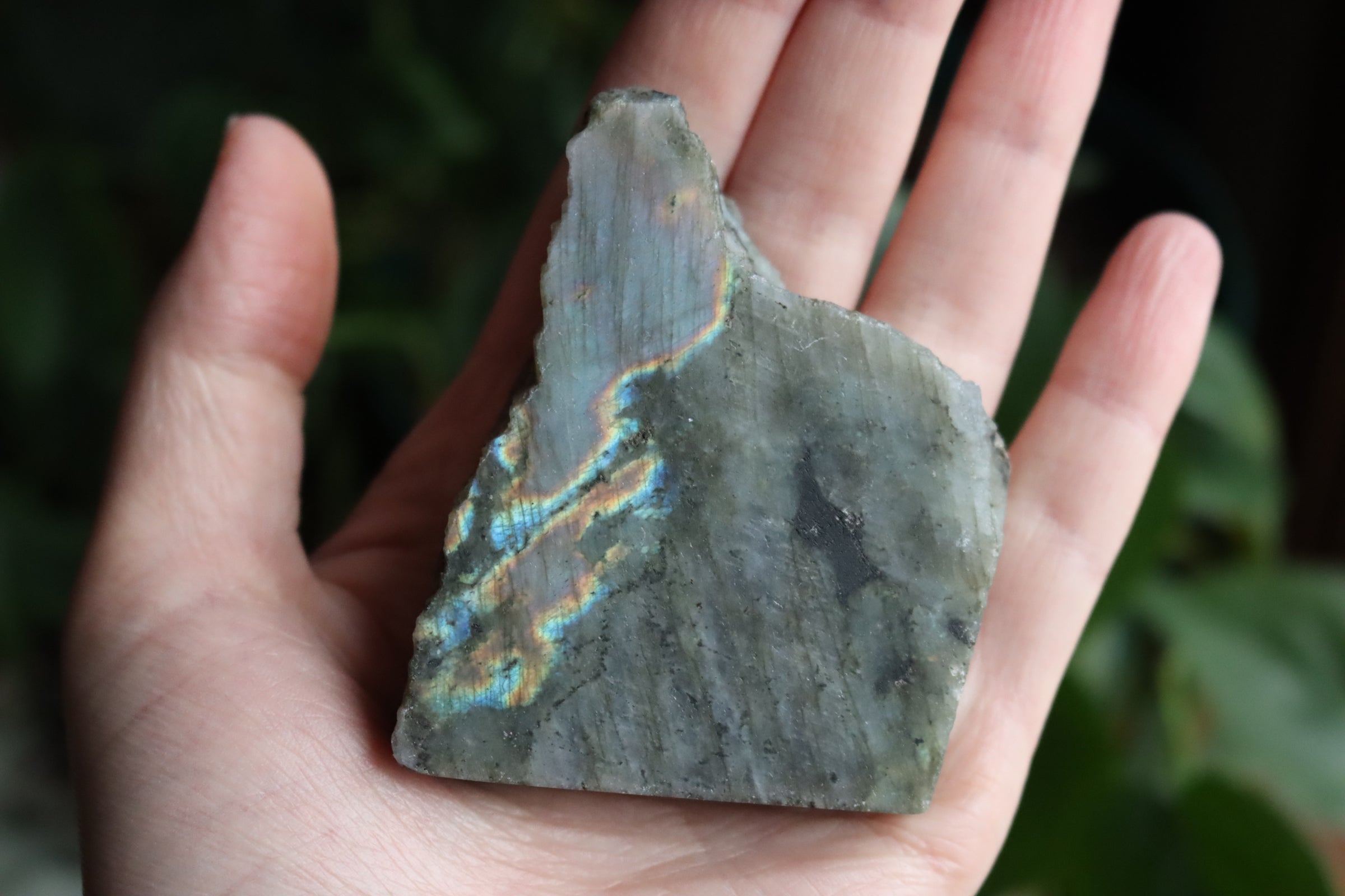 Semi polished labradorite slab 1