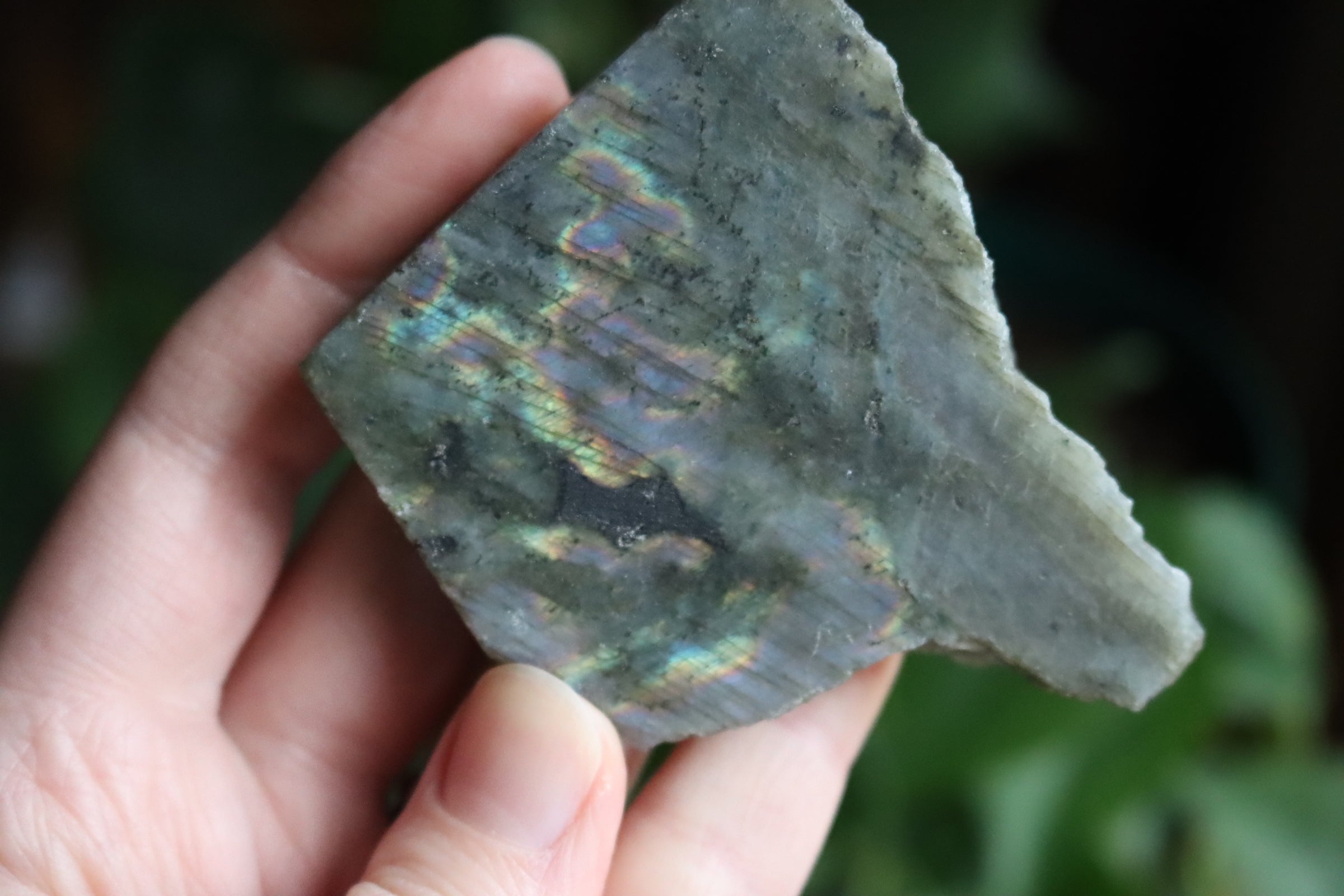 Semi polished labradorite slab 1