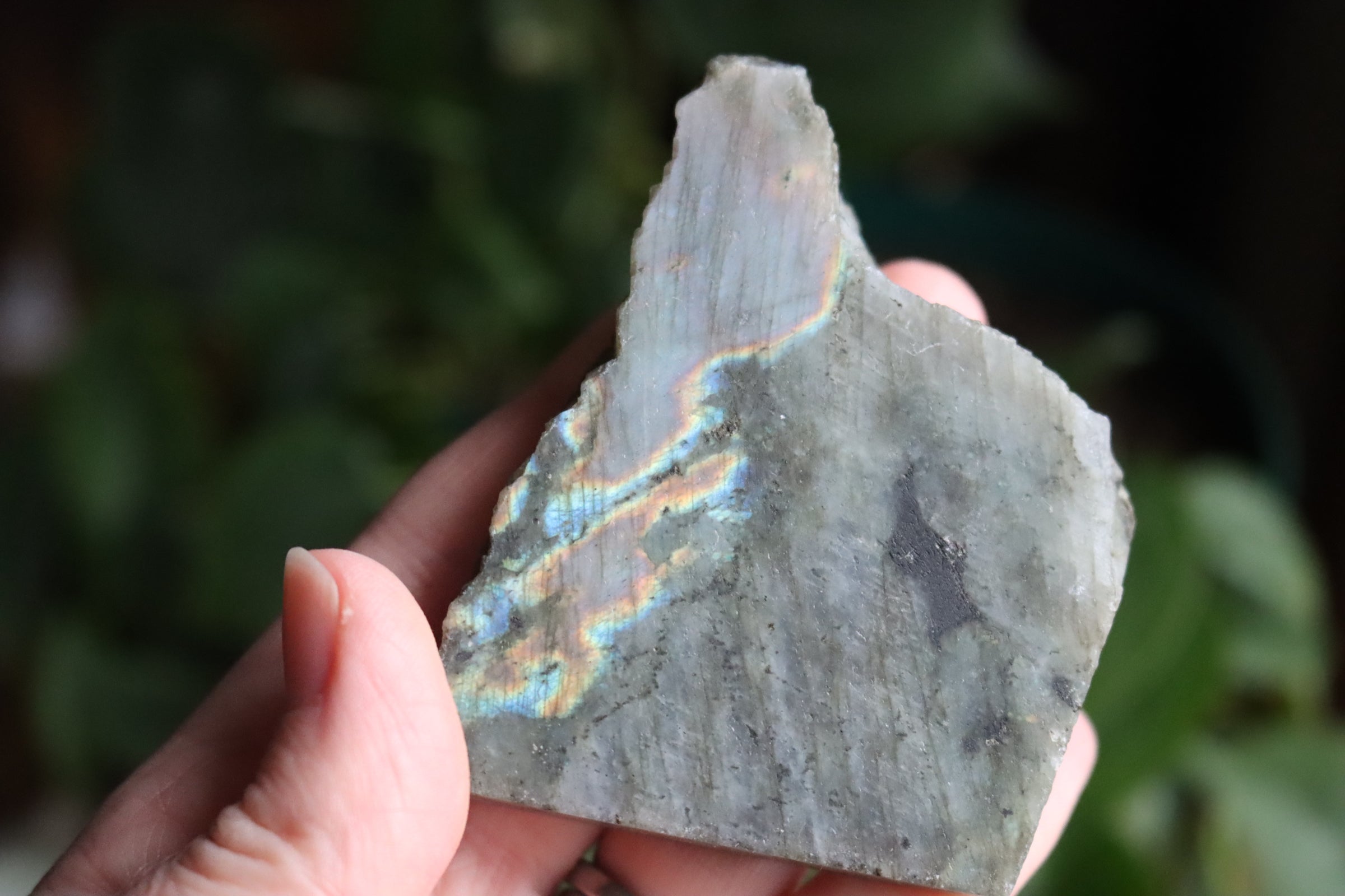 Semi polished labradorite slab 1