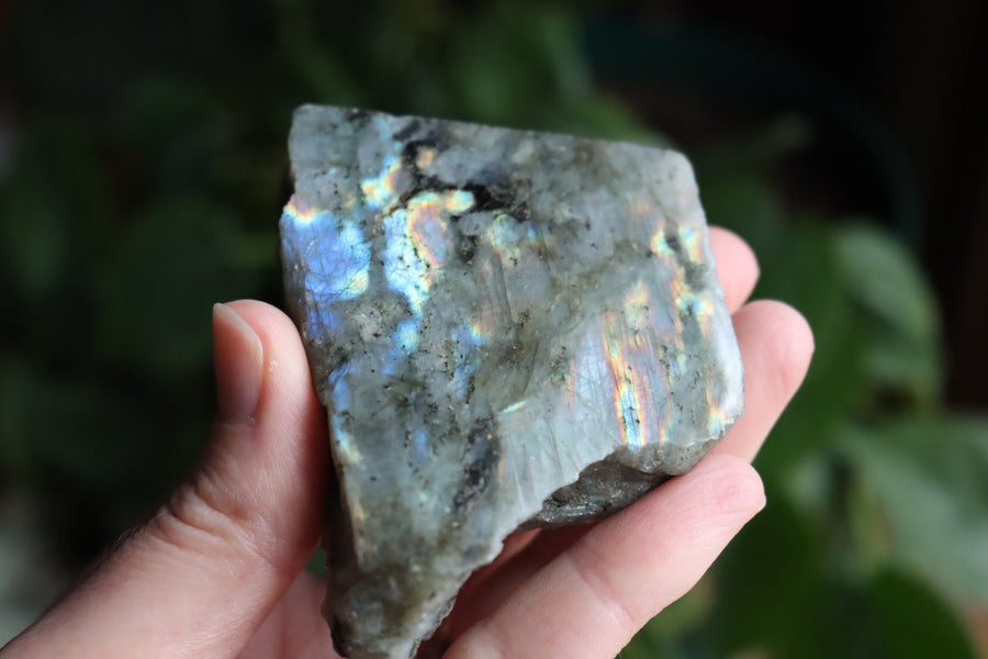 Semi polished labradorite slab 1