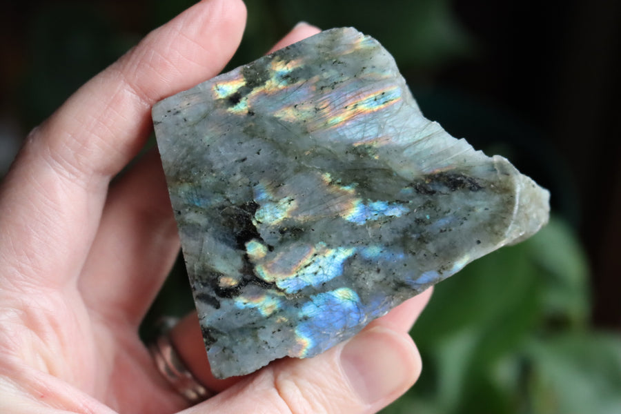 Semi polished labradorite slab 1