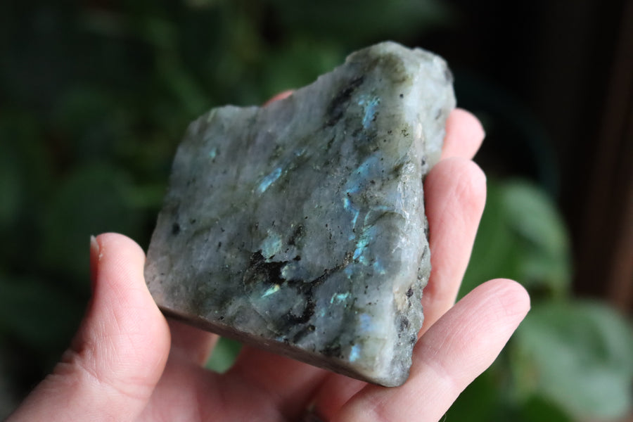 Semi polished labradorite slab 1