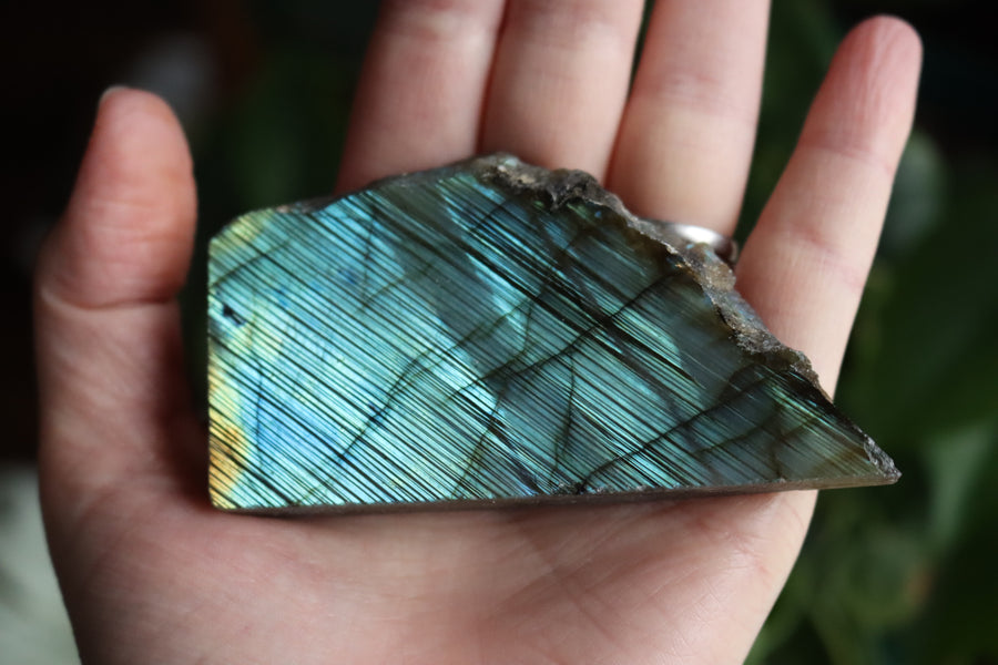 Semi polished labradorite slab 2