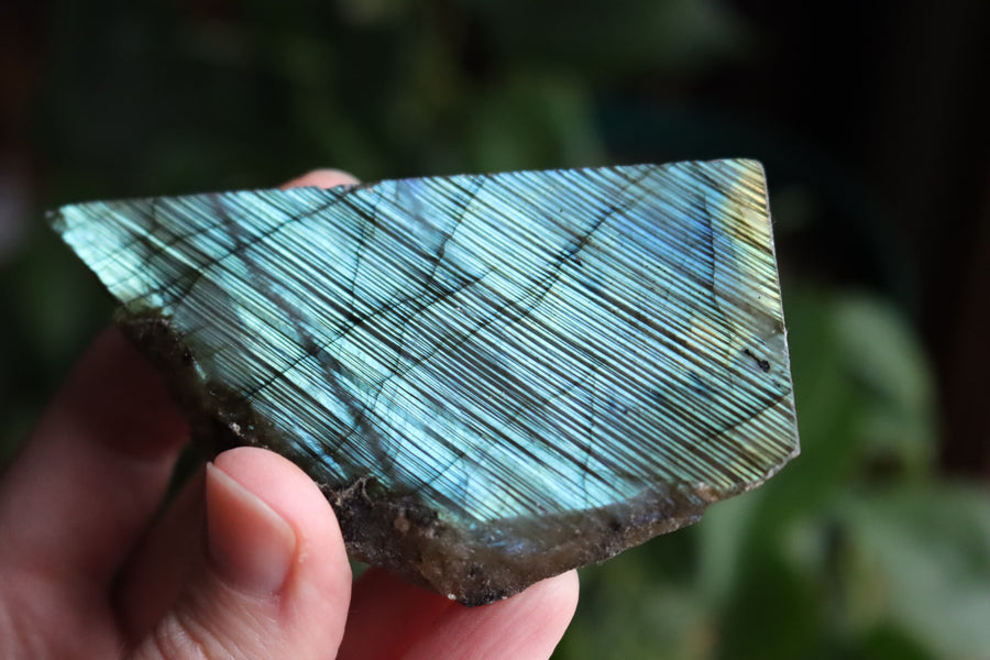 Semi polished labradorite slab 2