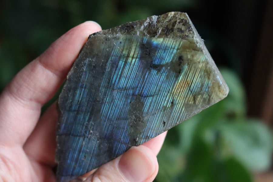 Semi polished labradorite slab 2