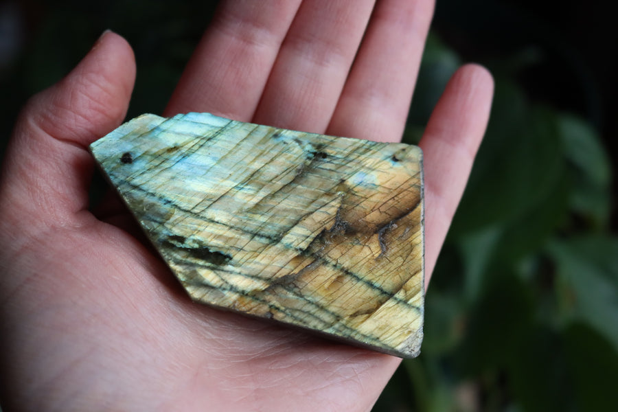 Semi polished labradorite slab 4