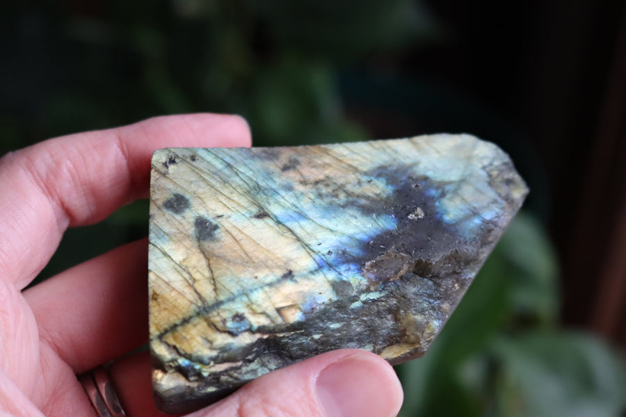 Semi polished labradorite slab 4