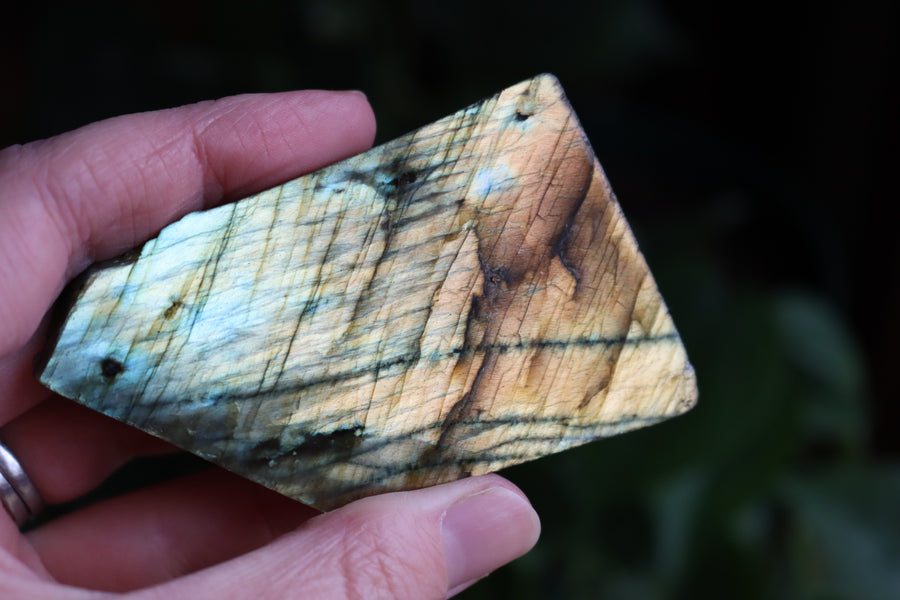 Semi polished labradorite slab 4