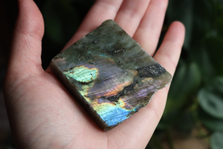 Semi polished labradorite slab 5