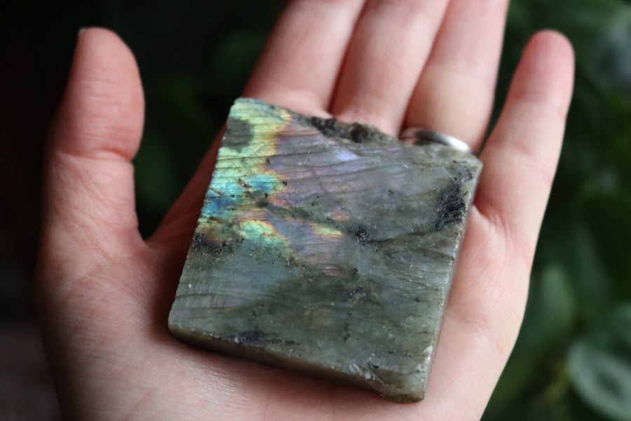 Semi polished labradorite slab 5