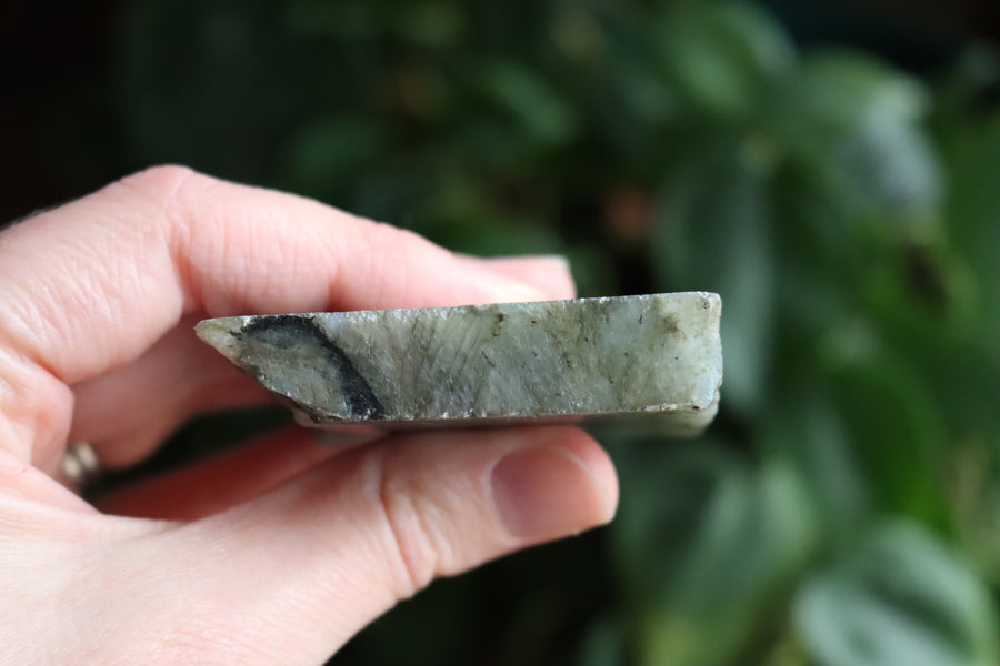 Semi polished labradorite slab 5