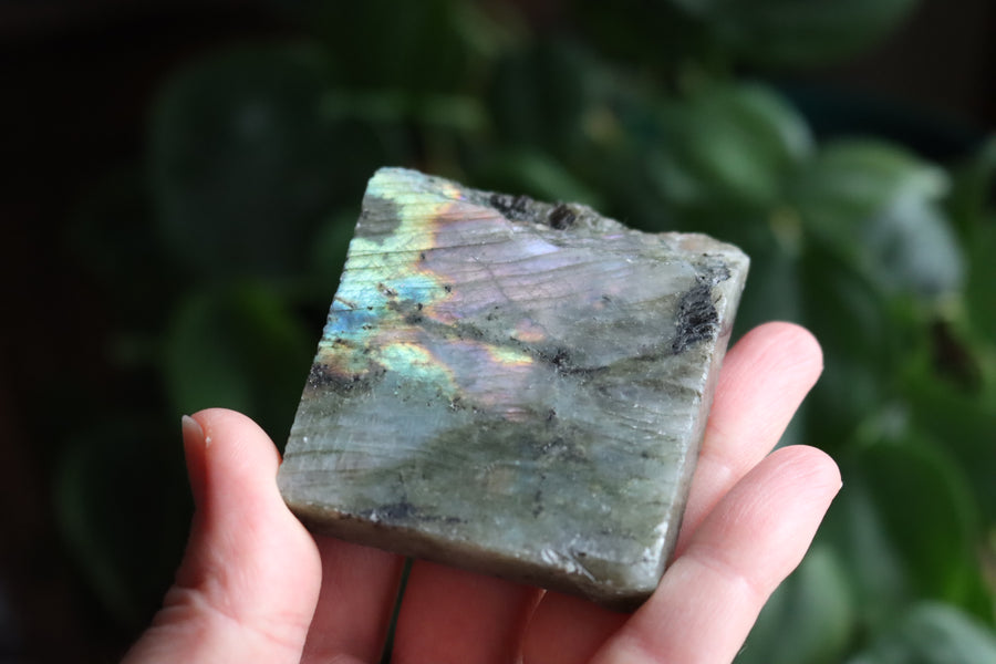 Semi polished labradorite slab 5