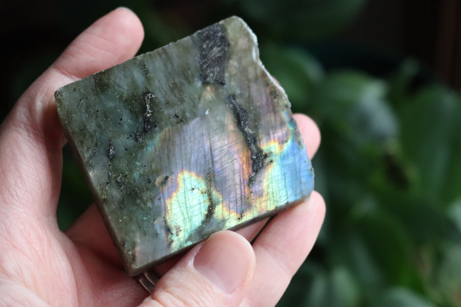 Semi polished labradorite slab 5