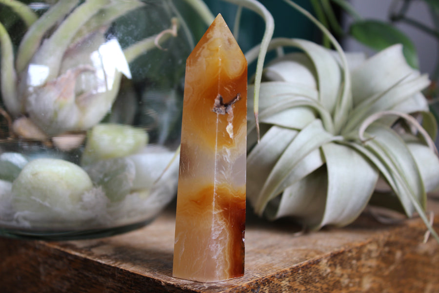 Carnelian tower 15