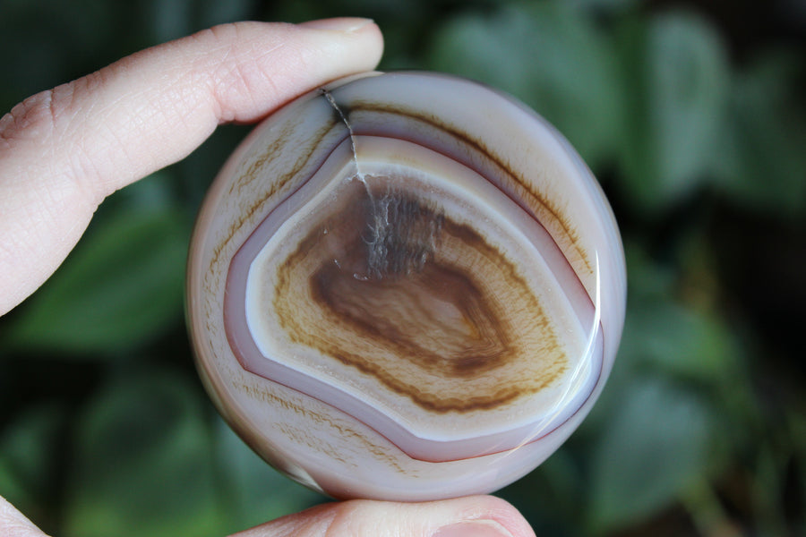 Carnelian dish 1