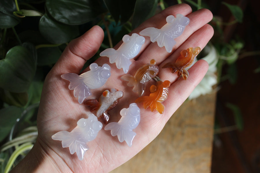 Small/Medium agate goldfish